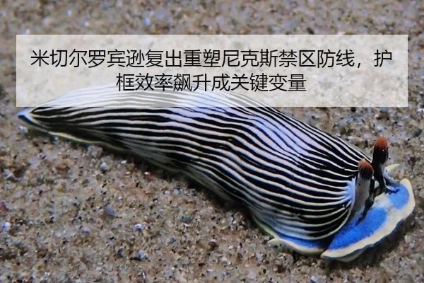 mi-qie-er-luo-bin-xun-fu-chu-zhong-su-ni-ke-si-jin-qu-fang-xian-hu-kuang-xiao-lv-biao-sheng-cheng-guan-jian-bian-liang-2-244.jpg