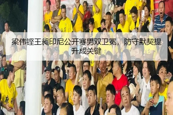 梁伟铿王昶印尼公开赛男双卫冕，防守默契提升成关键