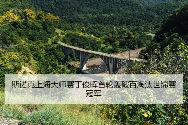 si-nuo-ke-shang-hai-da-shi-sai-ding-jun-hui-shou-lun-hong-po-bai-tao-tai-shi-jin-sai-guan-jun-2-432.jpg