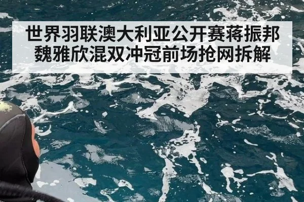 世界羽联澳大利亚公开赛蒋振邦魏雅欣混双冲冠前场抢网拆解